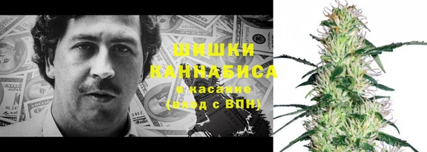 ГАЛЛЮЦИНОГЕННЫЕ ГРИБЫ Беломорск